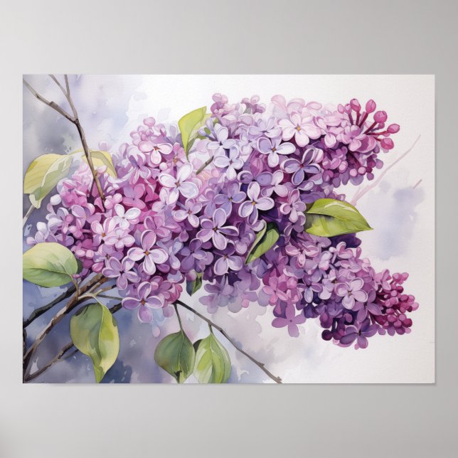 Póster Lilacs (Frente)
