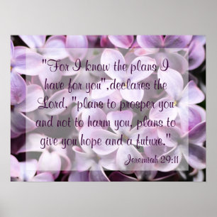 Póster Lilacs Jeremiah 29:11 Poster