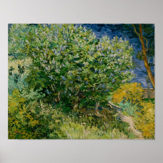 Póster Lilacs, Vincent van Gogh