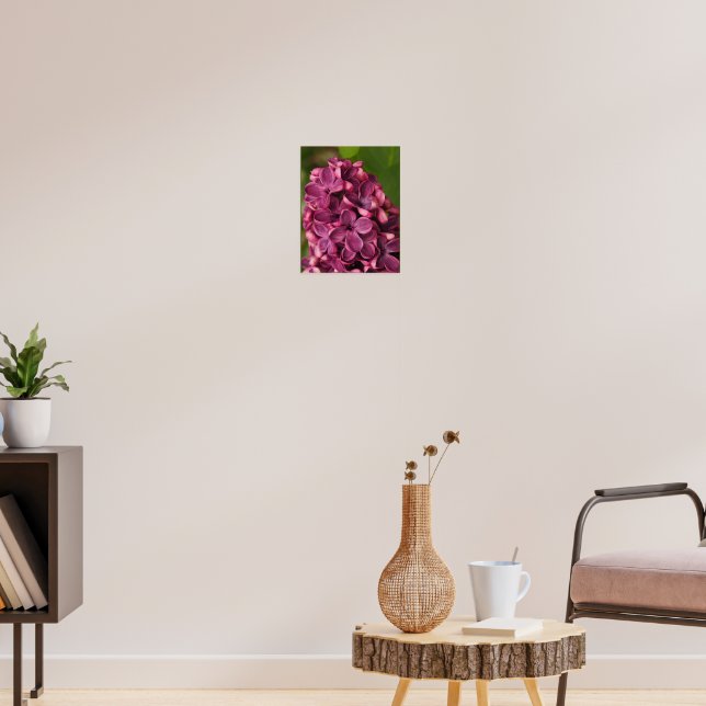 Póster Lílago común (Salón 3)