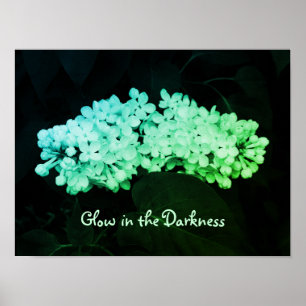 Póster Lilas verdes que brillan en la oscuridad Foto