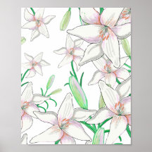 Lilies blancos