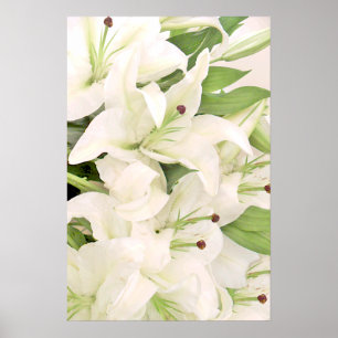 Póster Lilies blancos_Poster