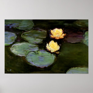 Póster Lilies de agua: 1897-98 de Monet
