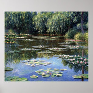 Póster Lilies de agua (2)