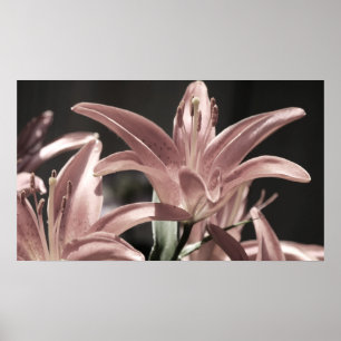 Póster Lilies-Muted Tones por Shirley Taylor