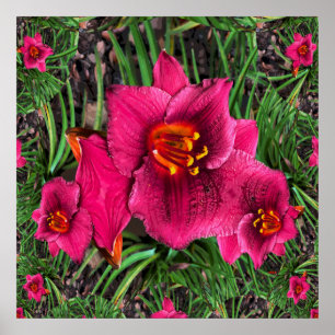 Póster Lilies of Love......