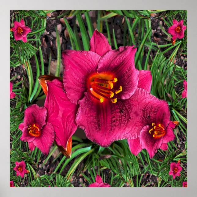 Póster Lilies of Love...... (Frente)