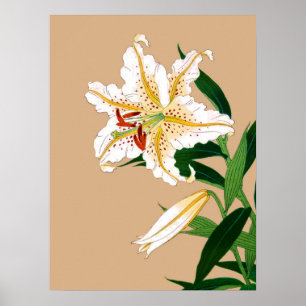 Póster Liliy japonesa vintage. Blanco, verde y beige n
