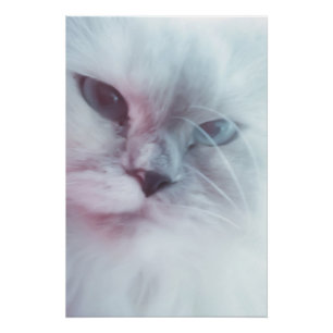 Póster Lilly