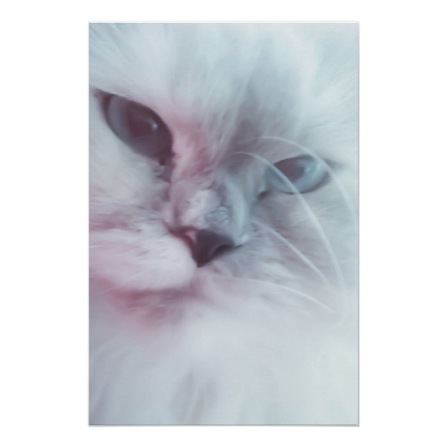 Póster Lilly (Anverso)