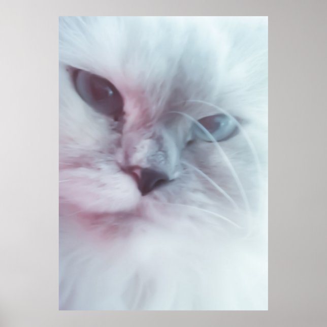 Póster Lilly (Frente)