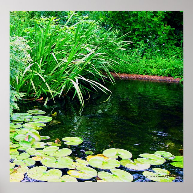 Póster lilly pond, www.zazzle.com/jbpeanut (Frente)