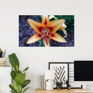 Póster Lily,