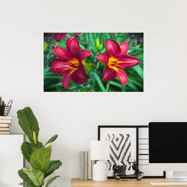 Póster Lily, (Oficina en casa)