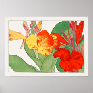 Póster Lily Canna, Flor Jardín, Konan, Naturaleza Vintage