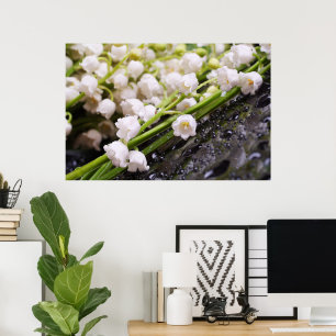 Póster Lily del Poster del Valle
