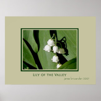 Póster Lily del Valle