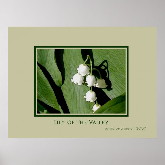 Póster Lily del Valle (Frente)