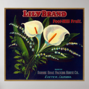 Póster Lily Naranja LabelExeter, CA