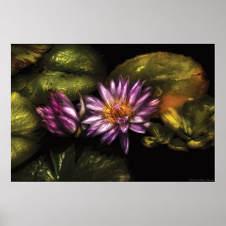 Póster Lily - Remojándose en la Luz del Sol