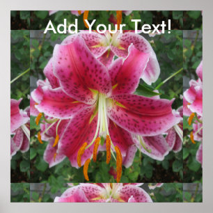 Póster Lily Stargazer Purple Flower