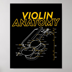 Póster Límite de diagrama de dibujo de anatomía de violín