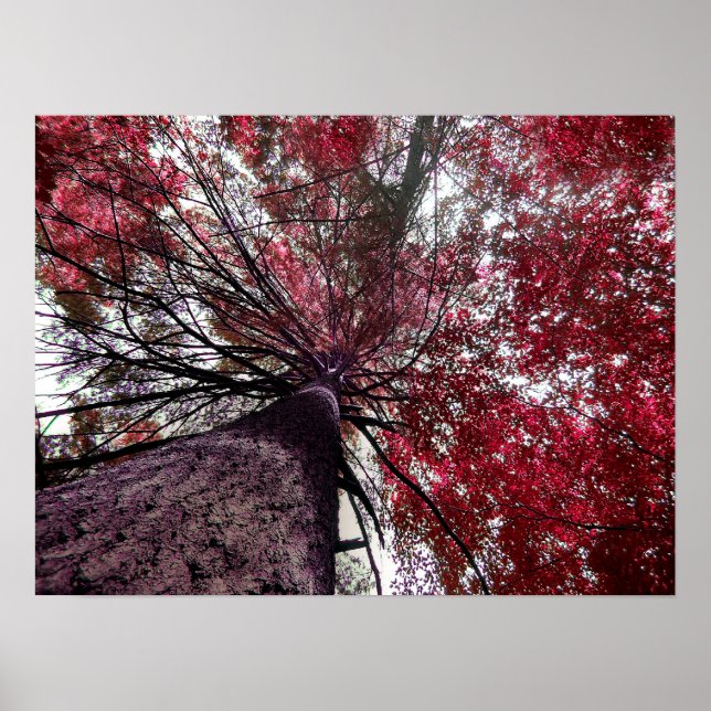 Póster Límite superior (Frente)