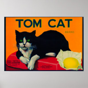 Póster Limón LabelOrosi, CA del gato de Tom