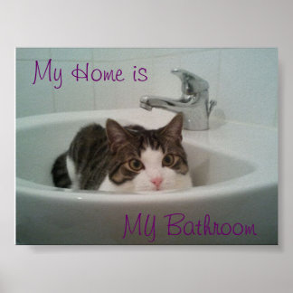 Póster Limpiar el gato