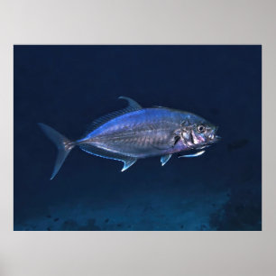 Póster Limpieza de Jack