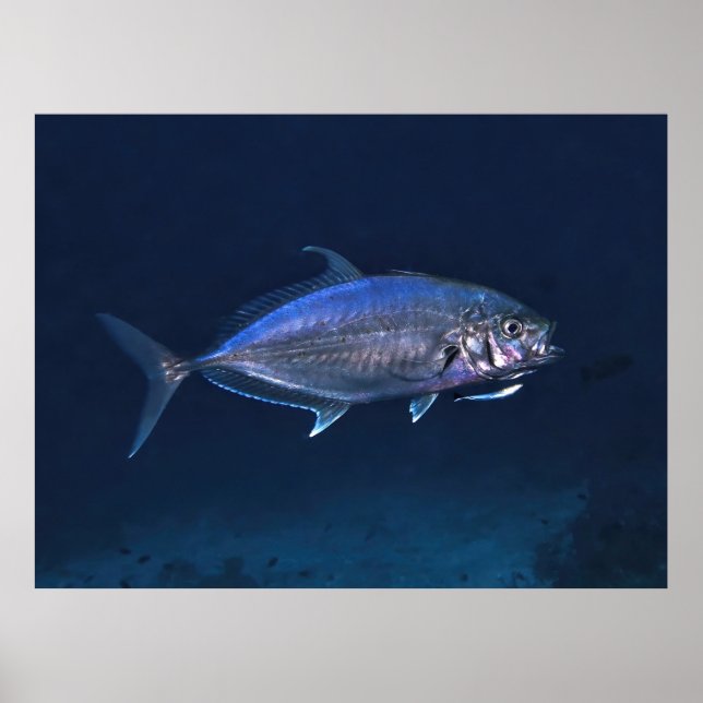 Póster Limpieza de Jack (Frente)