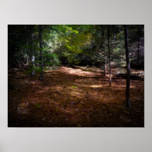 Limpieza en un bosque oscuro