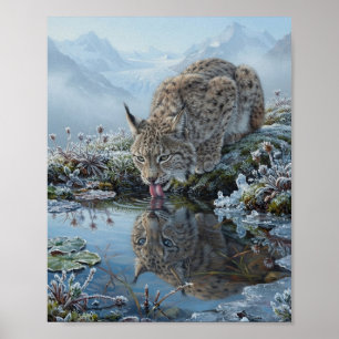Póster Lince Eurasiático Bebiendo Agua de Estanque Glacia