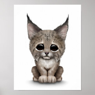 Póster Lince lindo Cub del bebé en blanco