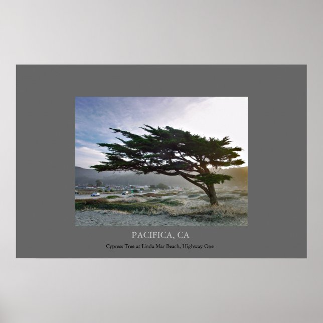 Póster Linda Mar Cypress (Frente)