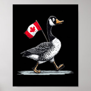 Póster Lindo aspecto animal de Canadá con ganso de Guay