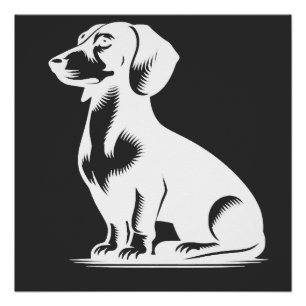 Póster Lindo Dachshund Pequeño Perro de Caza Elegante
