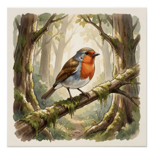 Póster Lindo pájaro petirrojo en un viejo bosque