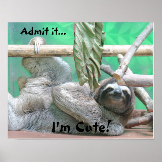 Póster ¡Lindo Sloth!