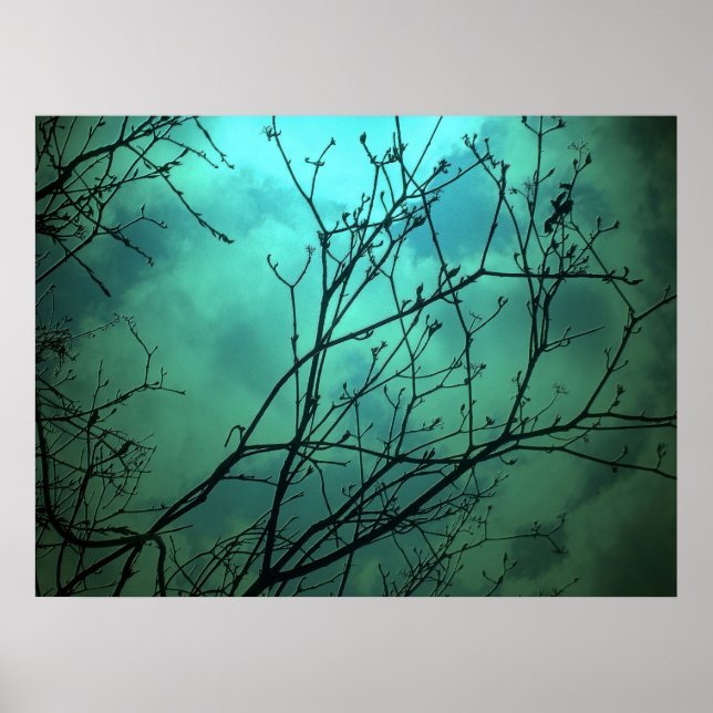 Póster Línea aérea de Fantasy - Toronto (Frente)