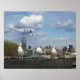 Póster Línea aérea de Nueva York con gaviotas