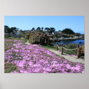 Póster Línea Costera de la Bahía de Monterey, Ruta de Pri