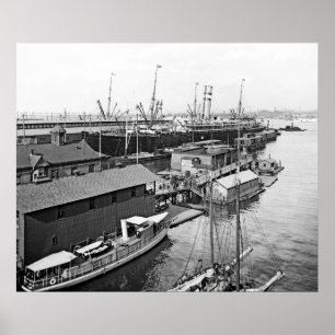 Póster Línea de Holanda América