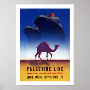 Póster Línea de Palestina