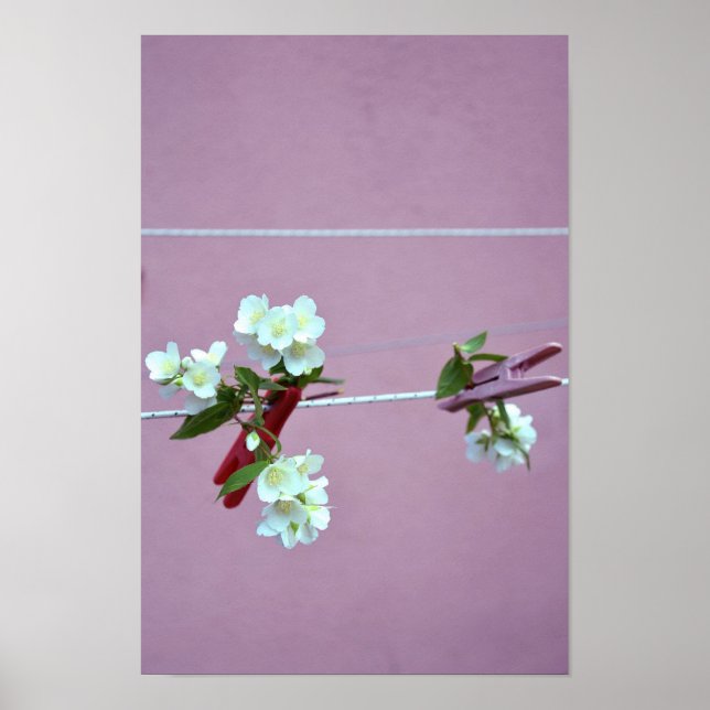 Póster Línea de primavera (Frente)