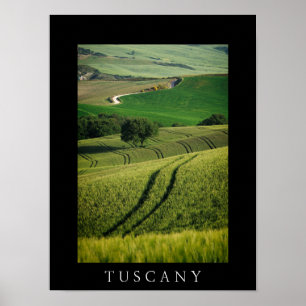 Póster Líneas curvadas en poster negro verde toscano