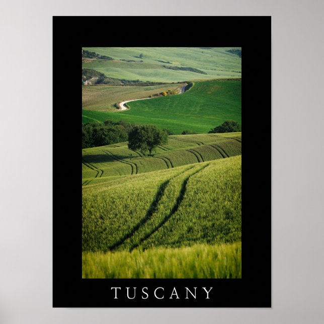 Póster Líneas curvadas en poster negro verde toscano (Frente)