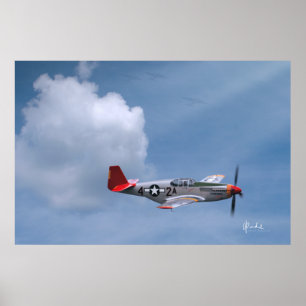 Póster Líneas rojas por petición