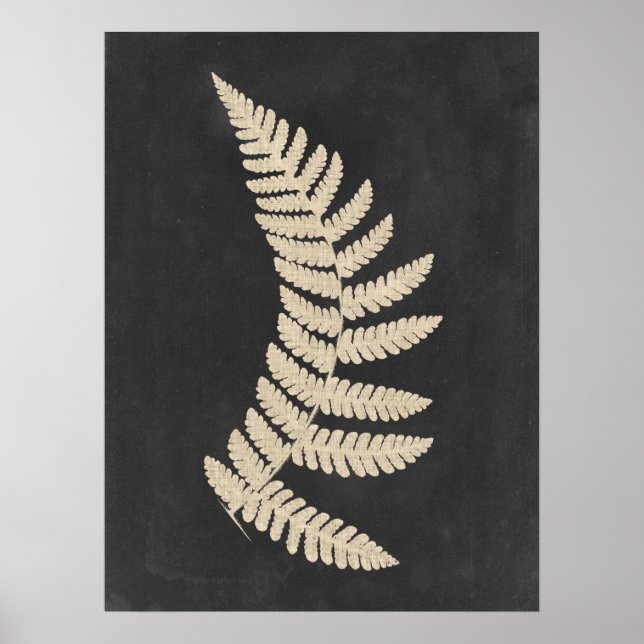 Póster Linen Fern (Frente)